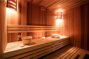 sauna-hotelmons-zlatibor